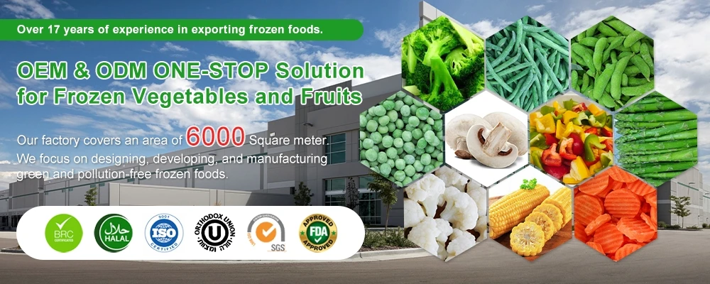 IQF Frozen Broccoli Factory IQF Frozen Broccoli Factory