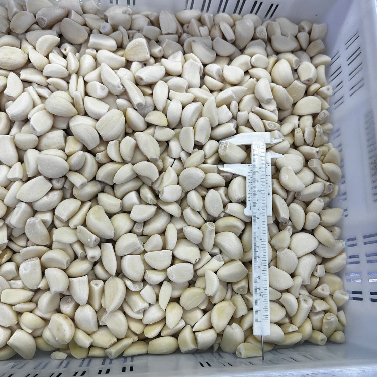 Frozen Whole Garlic Frozen Whole Garlic